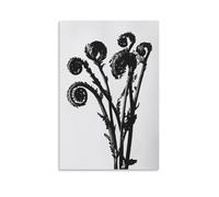 HDSCLMYY Delicate Fern Fronds Unfurling in Monochrome Linocut Style Trendy Hanging Wall Art Decorative Mural Poster12x18inch(30x45cm)