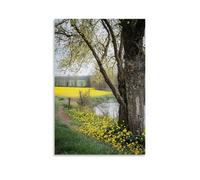 HDSCLMYY Landscape - Spring Blossoms in The French Countryside Trendy Hanging Wall Art Decorative Mural Poster08x12inch(20x30cm)