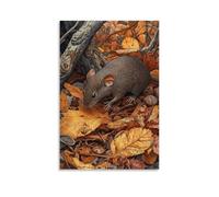 HDSCLMYY Victorian-Era Illustration of A Majestic Shrew Hunting in Leaf Litter Trendy Hanging Wall Art Decorative Mural Poster24x36inch(60x90cm)
