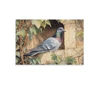 HDSCLMYY Victorian-Era Illustration of A Majestic Wood Pigeon Cooing in The Manor Dovecote Trendy Hanging Wall Art Decorative Mural Poster08x12inch(20x30cm)