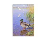 HDSCLMYY Wild Ducks on The Shore, Grooming Feathers on Their Wings Trendy Hanging Wall Art Decorative Mural Poster12x18inch(30x45cm)