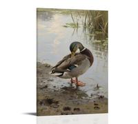 HDSCLMYY Wild Ducks Preening on The Shore, Movements Careful Trendy Hanging Wall Art Decorative Mural Poster08x12inch(20x30cm)