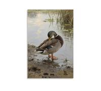 HDSCLMYY Wild Ducks Preening on The Shore, Movements Careful Trendy Hanging Wall Art Decorative Mural Poster16x24inch(40x60cm)