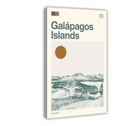 HDSDA Galápagos Islands, Ecuador Canvas Poster Wall Art Decor Print Picture Paintings for Living Room Bedroom Decoration 24x36inch(60x90cm)