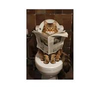 HDSDA Maine Coon Cat Toilet Reading Art Canvas Poster Wall Art Decor Print Picture Paintings for Living Room Bedroom Decoration 24x36inch(60x90cm)