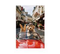 HDSDA Maltese Dog Driving A Convertible (1) Canvas Poster Bedroom Decor Landscape Office Room Decor Gift 20x30inch(50x75cm)
