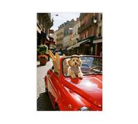 HDSDA Maltese Dog in A Convertible (1) Canvas Poster Bedroom Decor Landscape Office Room Decor Gift 16x24inch(40x60cm)