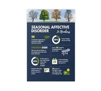 HDSDA Seasonal Affective Disorder Infographic Canvas Poster Bedroom Decor Landscape Office Room Decor Gift 08x12inch(20x30cm)