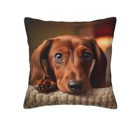 HDSKFNS Cute Dachshund Dog Print Decorative Pillow Covers,Square Pillowcases,for Sofa,Living Room,Bedroom,Holiday House