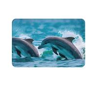 HDSKFNS Dolphins in The Sea Print Door Mat,Entrance Mat Welcome Floor Mats for Porch Bathroom Laundry Room Decor Floor Rug