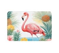 HDSKFNS Flamingo and Pineapple Print Door Mat,Entrance Mat Welcome Floor Mats for Porch Bathroom Laundry Room Decor Floor Rug