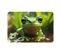 HDSKFNS Frog and Rain Print Door Mat,Entrance Mat Welcome Floor Mats for Porch Bathroom Laundry Room Decor Floor Rug