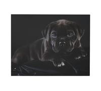 HDTVTV Cane Corso Pets Puppy Black Cane Corso, Canvas Wall Art Prints Wall Art Wall Hanging Painting For Home Decor 40 x 50 cm