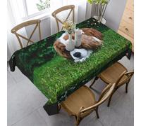 HDTVTV Rectangular Tablecloth, Washable, Suitable For Birthday Parties And Coffee Table Decoration, 35 X 55 Inches.Cavalier King Charles Spaniel Brownish White