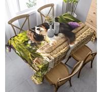 HDTVTV Rectangular Tablecloth, Washable, Suitable For Birthday Parties And Coffee Table Decoration, 35 X 55 Inches.Cavalier King Charles Spaniel