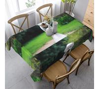 HDTVTV Rectangular Tablecloth, Washable, Suitable For Birthday Parties And Coffee Table Decoration, 35 X 55 Inches.Bichon Frise Bokeh Pets Dogs Park White Dogs