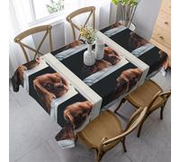HDTVTV Rectangular Tablecloth, Washable, Suitable For Birthday Parties And Coffee Table Decoration, 35 X 55 Inches.Ruby Cavalier King Charles Spaniel Puppy Dog
