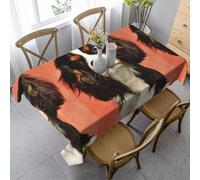 HDTVTV Rectangular Tablecloth, Washable, Suitable For Birthday Parties And Coffee Table Decoration, 35 X 55 Inches.Shih Tzu Dog Long Ear Puppy Animal Pet Design