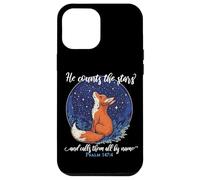 He Counts the Stars and Calls Them All by Name Christian Fox Case for iPhone 12 Pro Max