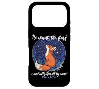 He Counts the Stars and Calls Them All by Name Christian Fox Case for iPhone 17 Pro