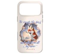 He Counts the Stars and Calls Them All by Name Psalm 147:4 Case for iPhone 17 Pro Max