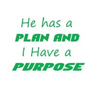 he has a Plan and i Have Purpose Wall Stickers 57.6x79cm Multi Color Selection Green