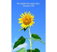 He made the stars also. Genesis 1:16 - Daily Journal