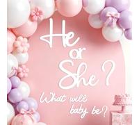 He or She Sign for Backdrop Felt Oh Baby Shower Welcome Decor Mirror Decals