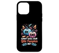 He or She What Will Our Little Pumpkin Be Autumn Baby Shower Case for iPhone 12 mini