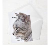 He Sees Whens You Been Eatings Greetings Card - Standard Card