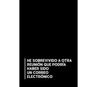 He sobrevivido a otra Reunión que Podría haber Sido un correo Electrónico: Libreta divertida para la oficina | Cuaderno de notas con líneas | Regalo original y gracioso para compañeros de trabajo.