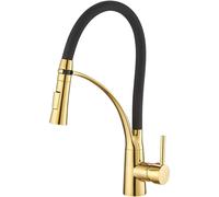 Heable Sleek Kitchen Sink Mixer Tap With Dual Function Sprayer Gold Finish Heable Multicolor