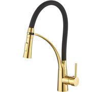 Heable Sleek Pull Down Kitchen Sink Mixer Tap With Dual Function Sprayer And Black Silicone Hose In Gold Finish
