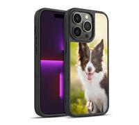 Head Case Designs Brown Border Collie In Summer Popular Dog Breeds Gel Armour Case [Military Grade Protection] Compatible With Apple iPhone 14 Pro