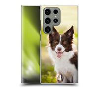 Head Case Designs Brown Border Collie In Summer Popular Dog Breeds Hard Back Case Compatible With Samsung Galaxy S24 Ultra 5G