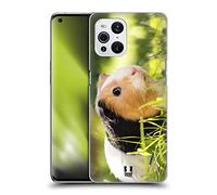 Head Case Designs Guinea Pig Pet Famous Animals Hard Back Case Compatible With Oppo Find X3 / Pro