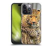 Head Case Designs Leopard Portrait Wildlife Hard Back Case Compatible With Apple iPhone 14 Pro