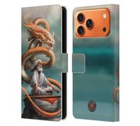 Head Case Designs Officially Licensed Anne Stokes The Hermit Guardian Dragons Leather Wallet Case Compatible With Apple iPhone 17 Pro Max