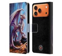 Head Case Designs Officially Licensed Anne Stokes Treasure Trove Mix Fantasy Art Leather Wallet Case Compatible With Apple iPhone 17 Pro Max