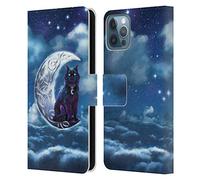 Head Case Designs Officially Licensed Brigid Ashwood Black Cat Celtic Wisdom 2 Leather Wallet Case Compatible With Apple iPhone 12 / iPhone 12 Pro