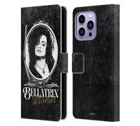 Head Case Designs Officially Licensed Harry Potter Bellatrix Lestrange Dementors Kiss Leather Wallet Case Compatible With Apple iPhone 14 Pro Max