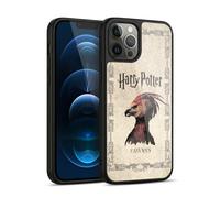 Head Case Designs Officially Licensed Harry Potter Fawkes Phoenix Creature Chamber Of Secrets II Gel Armour Case [Military Grade Protection] Compatible With Apple iPhone 12 Pro Max