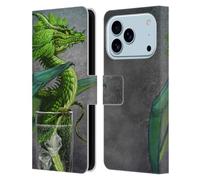 Head Case Designs Officially Licensed Stanley Morrison Green Mojito Drink Dragons Leather Wallet Case Compatible With Apple iPhone 17 Pro
