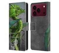 Head Case Designs Officially Licensed Stanley Morrison Green Mojito Drink Dragons Leather Wallet Case Compatible With Apple iPhone 18 Pro Max