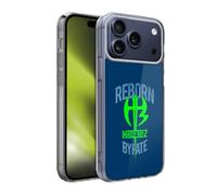Head Case Designs Officially Licensed WWE 201718 Superstars Hardy Boyz Reborn By Fate Soft Gel Case for Apple iPhone 17 Pro Max