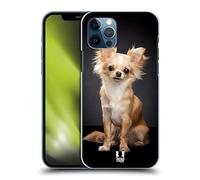Head Case Designs Sitting Chihuahua Dog Popular Dog Breeds Hard Back Case and Matching Wallpaper Compatible With Apple iPhone 12 / iPhone 12 Pro