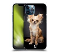 Head Case Designs Sitting Chihuahua Dog Popular Dog Breeds Hard Back Case and Matching Wallpaper Compatible With Apple iPhone 12 Pro Max