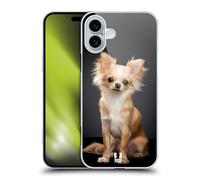 Head Case Designs Sitting Chihuahua Dog Popular Dog Breeds Hard Back Case Compatible With Apple iPhone 16 Plus