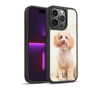 Head Case Designs Sitting White Poodle Popular Dog Breeds Gel Armour Case [Military Grade Protection] Compatible With Apple iPhone 14 Pro