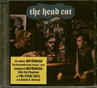 Head Cats - Fool's Paradise